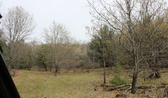 2590 14th Ct, Adams, WI 53910