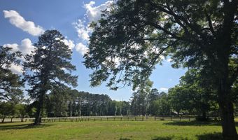 10886 Burtons Ferry Hwy, Allendale, SC 29810
