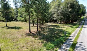 00 Longleaf Rdg, Atmore, AL 36502