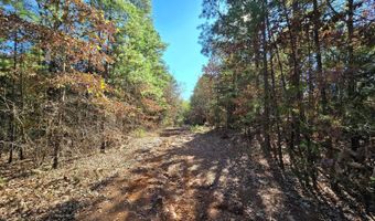 TBD Raw Land, Bates, AR 72958