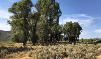 1000 SMITHS FORK Rd, Cokeville, WY 83114