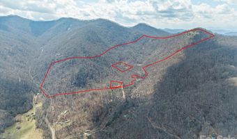 140 Wild Mountain Ln, Barnardsville, NC 28709