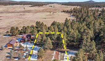 24 Co Rd 2065, Alpine, AZ 85920