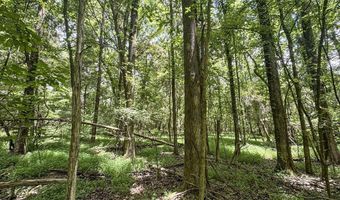 Pine Lodge Road, Batesville, MS 38606