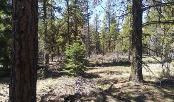 Lot 21 Boar Lane, Bonanza, OR 97623