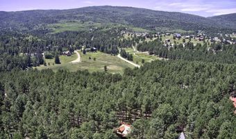53 Pine Valley Rd, Angel Fire, NM 87710