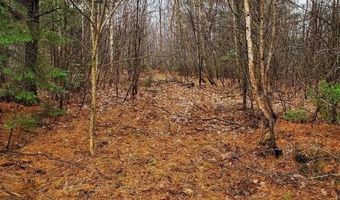 0 Ryan Rd, Baileyville, ME 04694