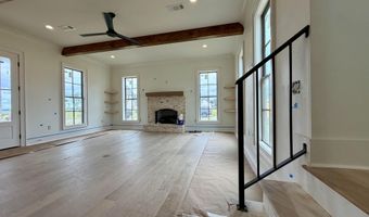 917 Bald Eagle Dr, Brandon, MS 39047