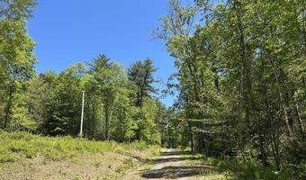 TALLMAN HOLLOW ROAD, Montoursville, PA 17754