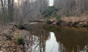 PAYNES POND RD, Arvonia, VA 23004