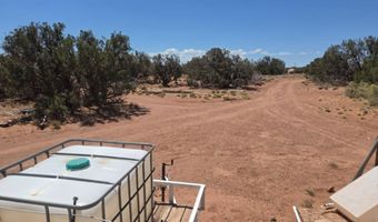 18 N5417, Concho, AZ 85924