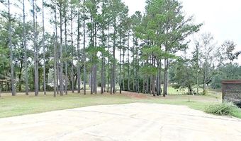 290 Long Rd, Bainbridge, GA 39817