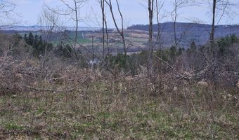 295 Shellstone Rd, Amsterdam, NY 12010