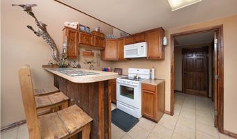 227 S Hollow Tree, Alice, TX 78332