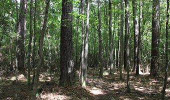 00 Pinola Braxton Rd, Braxton, MS 39044
