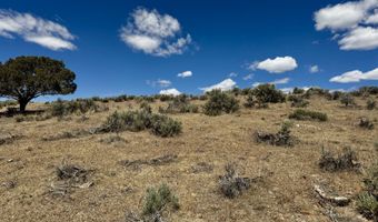 Hollyhock Street, Elko, NV 89801