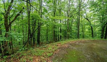 Lot 13 Ettrick LN, Bella Vista, AR 72715