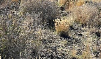 parcels at Pine Nut Creek area, Gardnerville, NV 89410