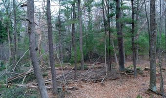 255 45 Ac Dover Dr, Adams, WI 53910