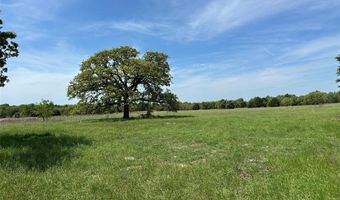 Tbd SPUR 937, Teague, TX 75860