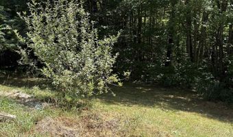 19 Easy Ave, Albany, NH 03818