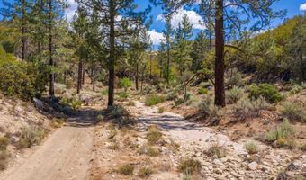 60833 Table Mountain Rd, Mountain Center, CA 92561