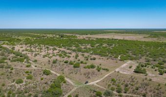 FM 735, Alice, TX 78332