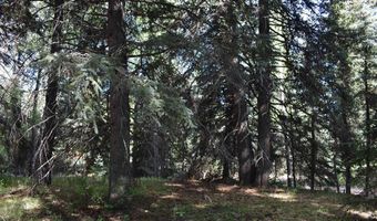 Vallecito Pl, Bayfield, CO 81122