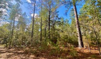 TBD Gill Rd, Brookhaven, MS 39601