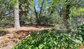 37590 Live Oak, Angelus Oaks, CA 92305