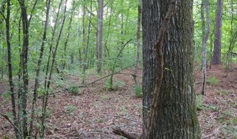 Hwy 9, Bruce, MS 38915