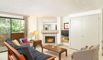 935 E Hopkins Ave 6, Aspen, CO 81611