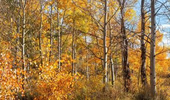 Spinnaker Lane, Basalt, CO 81621