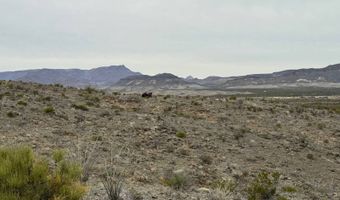 17330 Cedar Springs Rd, Alpine, TX 79830