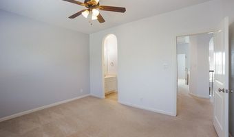 827 TIGER LILY, San Antonio, TX 78260