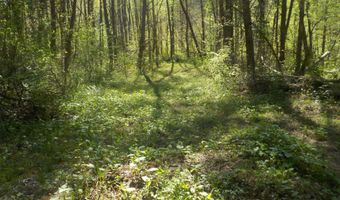 Steve Brown Road, Bean Station, TN 37708