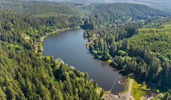 69931 Fishhawk Rd, Birkenfeld, OR 97016