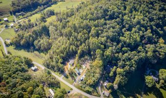 Davis Valley Road lot 8 & 11, Afton, TN 37616
