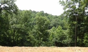 8 63ac Gravely Hill Rd, Bethpage, TN 37022