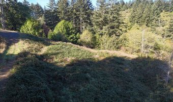 Brooke Ln unit 4 4, Brookings, OR 97415