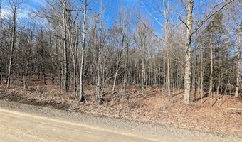 South Road, Addison, NY 14801