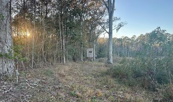 2894 Jackson Liberty Dr, Bogue Chitto, MS 39629