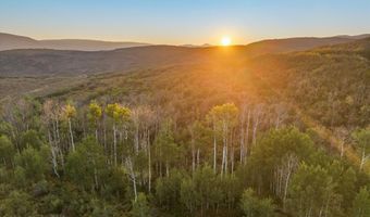 Old Herron Road lot 48, Basalt, CO 81621