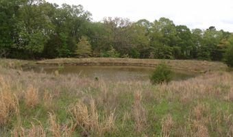 4100 Six Mile Rd N, Antlers, OK 74525