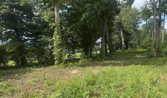 Tract 1 Mill Creek Rd, Andersonville, TN 37705
