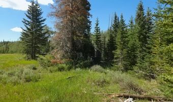 2397 Rainbow Ln, Brian Head, UT 84719