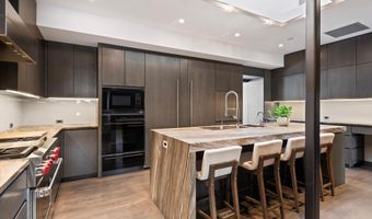 730 S Galena St, Aspen, CO 81611