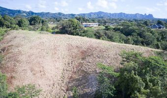 HAUIKI RD, Kapaa, HI 96746