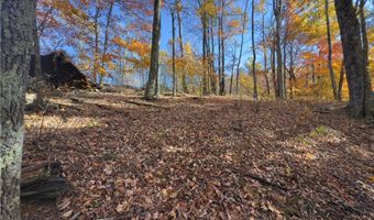 Tbd Larkspur Trail, Banner Elk, NC 28604