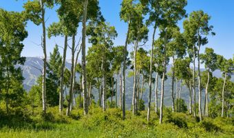 114 Goldenrod, Avon, CO 81620